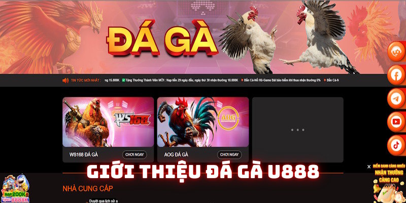 Khái quát chung về nền tảng đá gà U888